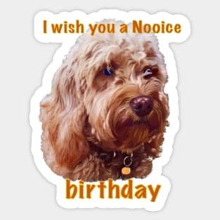 Happy birthday greetings, I wish you a nooice birthday - Cavapoo puppy dog  - cavalier king charles spaniel poodle, puppy love Sticker